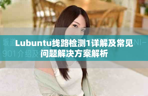 Lubuntu线路检测1详解及常见问题解决方案解析