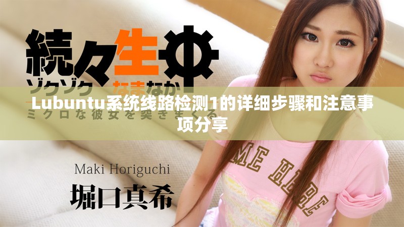 Lubuntu系统线路检测1的详细步骤和注意事项分享
