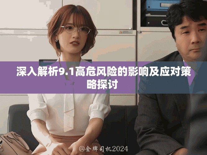 深入解析9.1高危风险的影响及应对策略探讨 
