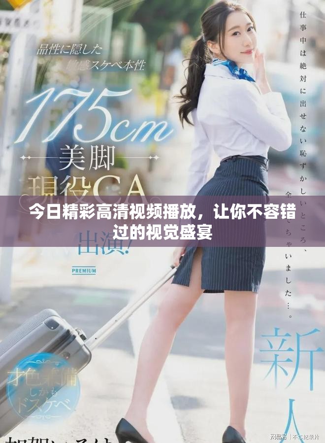 今日精彩高清视频播放，让你不容错过的视觉盛宴