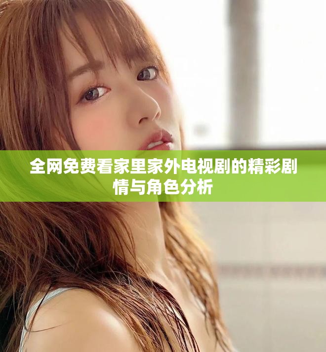 全网免费看家里家外电视剧的精彩剧情与角色分析