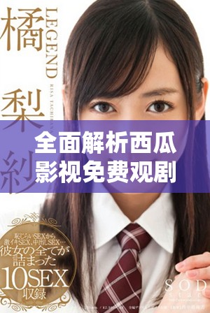 全面解析西瓜影视免费观剧的最新热门电视剧推荐