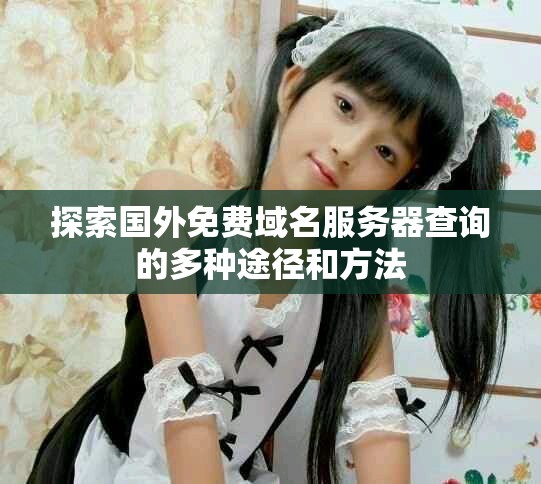 探索国外免费域名服务器查询的多种途径和方法