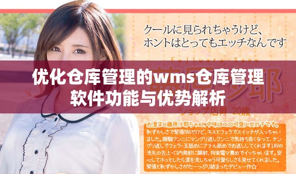 优化仓库管理的wms仓库管理软件功能与优势解析
