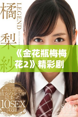 《金花瓶梅梅花2》精彩剧情揭晓 让我们重温这段感人故事