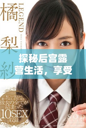 探秘后宫露营生活，享受自然与宁静的完美结合