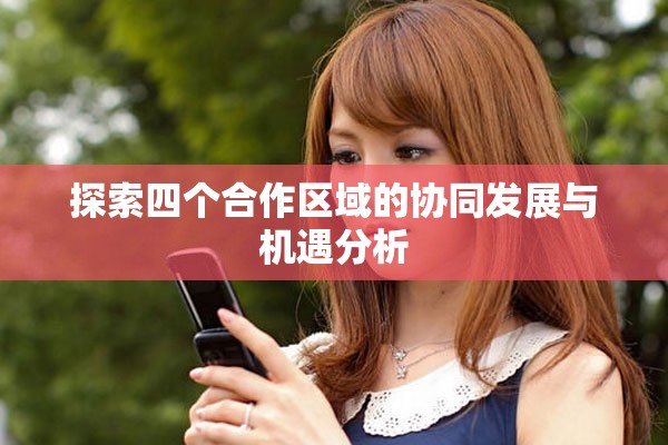 探索四个合作区域的协同发展与机遇分析