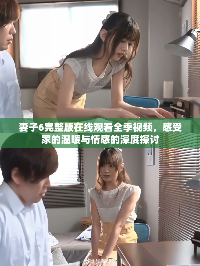 妻子6完整版在线观看全季视频，感受家的温暖与情感的深度探讨