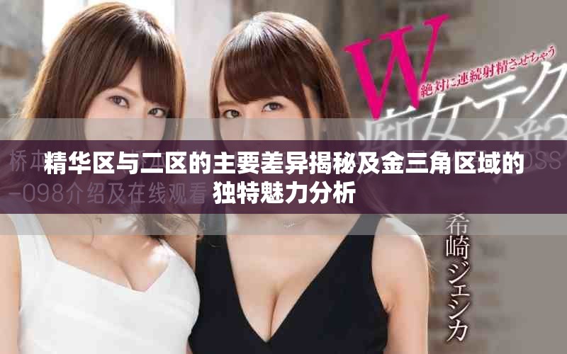 精华区与二区的主要差异揭秘及金三角区域的独特魅力分析