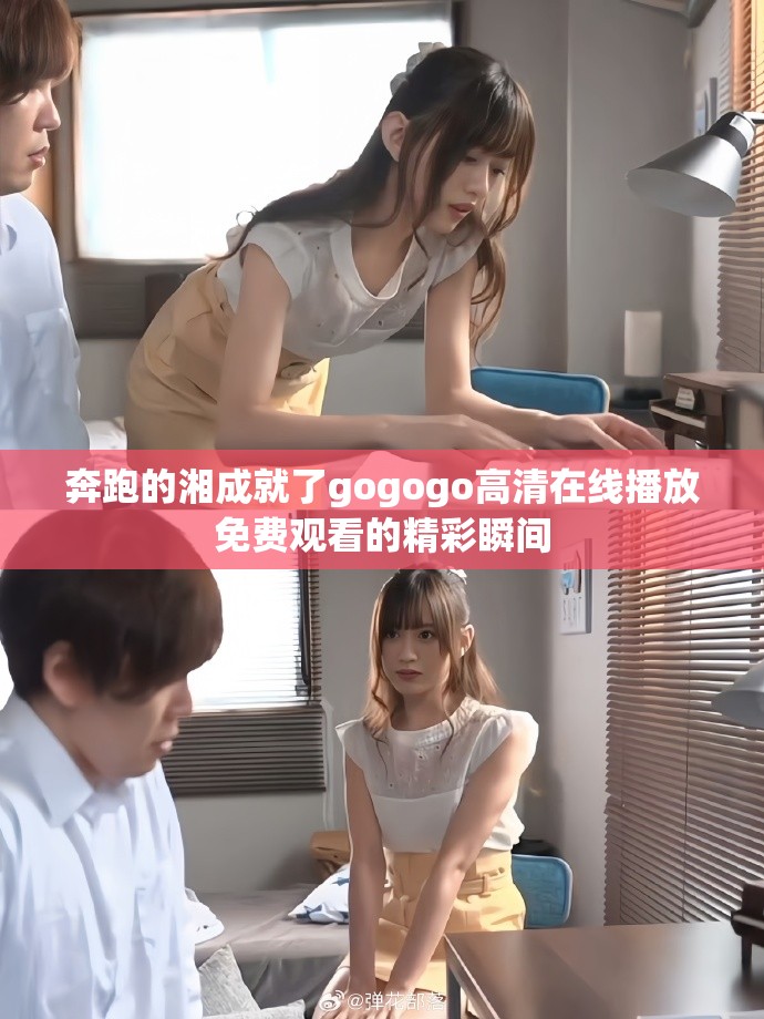 奔跑的湘成就了gogogo高清在线播放免费观看的精彩瞬间