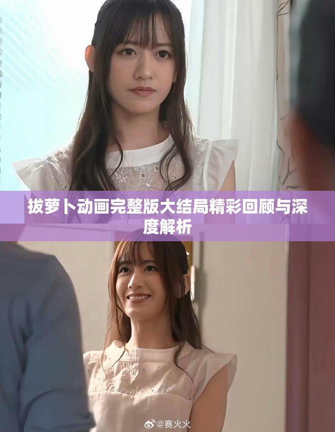 拔萝卜动画完整版大结局精彩回顾与深度解析