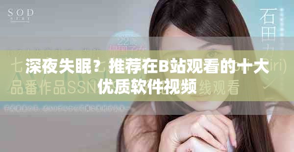 深夜失眠？推荐在B站观看的十大优质软件视频