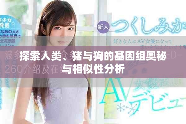 探索人类、猪与狗的基因组奥秘与相似性分析
