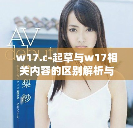 w17.c-起草与w17相关内容的区别解析与比较
