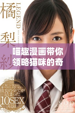 喵趣漫画带你领略猫咪的奇妙世界与趣味故事