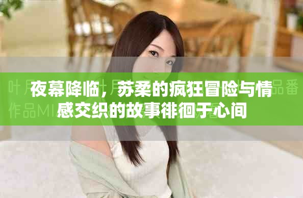 夜幕降临，苏柔的疯狂冒险与情感交织的故事徘徊于心间