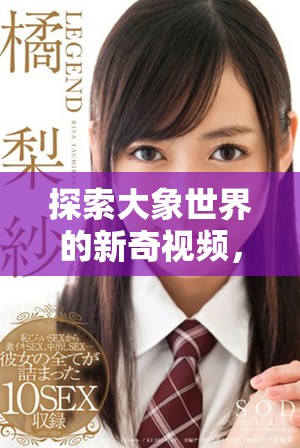探索大象世界的新奇视频，感受它们的智慧与魅力