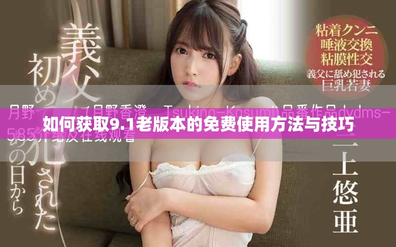 如何获取9.1老版本的免费使用方法与技巧