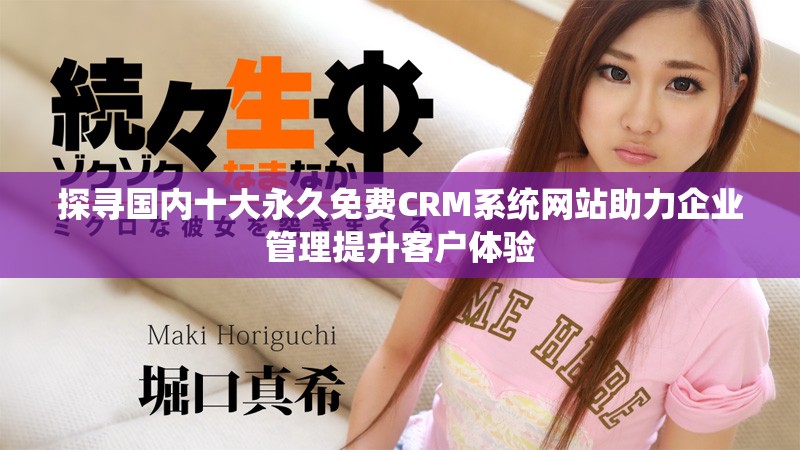 探寻国内十大永久免费CRM系统网站助力企业管理提升客户体验
