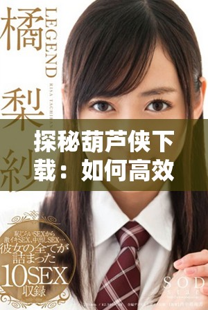 探秘葫芦侠下载：如何高效获取最新版本和使用技巧