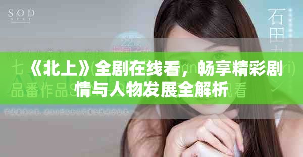 《北上》全剧在线看，畅享精彩剧情与人物发展全解析