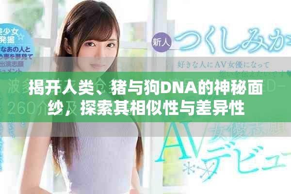 揭开人类、猪与狗DNA的神秘面纱，探索其相似性与差异性