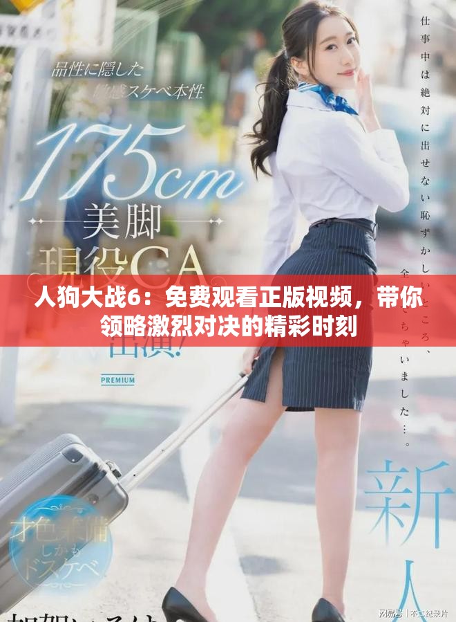 人狗大战6：免费观看正版视频，带你领略激烈对决的精彩时刻