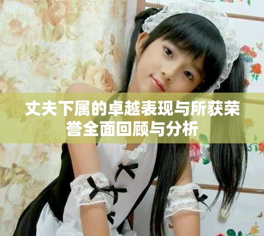 丈夫下属的卓越表现与所获荣誉全面回顾与分析