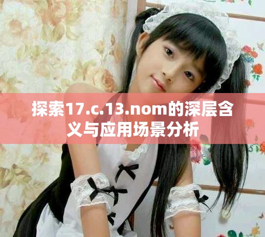 探索17.c.13.nom的深层含义与应用场景分析