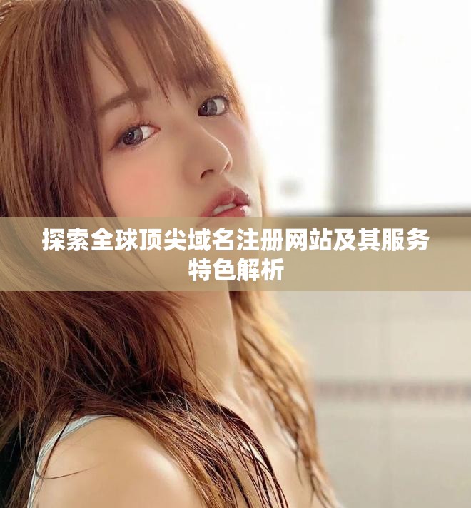 探索全球顶尖域名注册网站及其服务特色解析