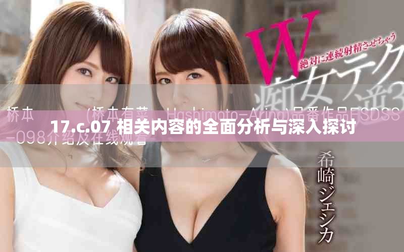 17.c.07 相关内容的全面分析与深入探讨