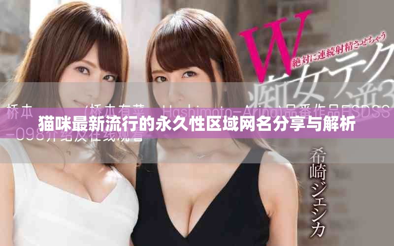 猫咪最新流行的永久性区域网名分享与解析
