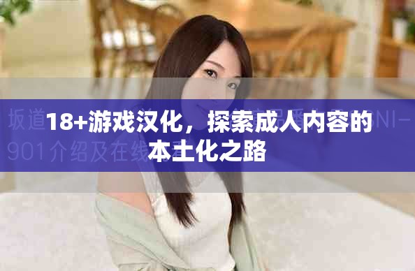 18+游戏汉化，探索成人内容的本土化之路