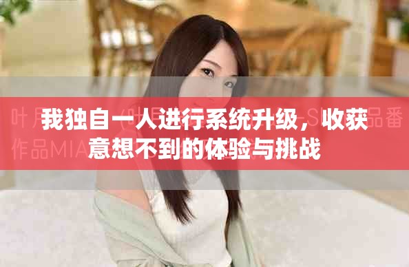 我独自一人进行系统升级，收获意想不到的体验与挑战