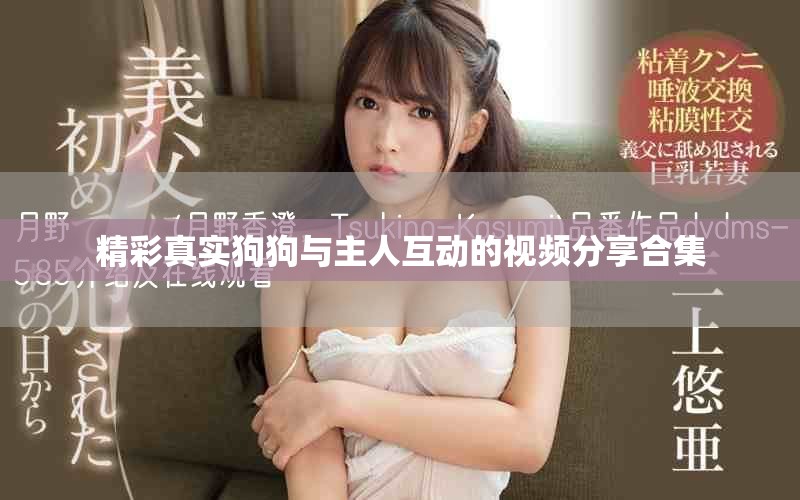 精彩真实狗狗与主人互动的视频分享合集