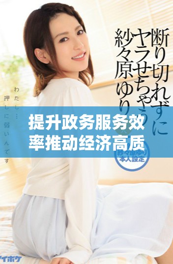 提升政务服务效率推动经济高质量发展新举措解析